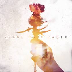 Scars Have Faded : Thorn